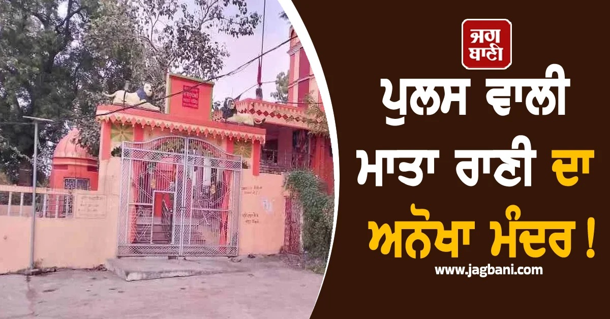 ''ਪੁਲਸ ਵਾਲੀ ਮਾਤਾ ਰਾਣੀ'' ਦਾ ਅਨੋਖਾ ਮੰਦਰ! ਡਿਊਟੀ ਚੜ੍ਹਨ ਤੋਂ ਅਧਿਕਾਰੀਆਂ ਨੂੰ ਨਿਭਾਊਣੀ ਪੈਂਦੀ ਹੈ ਰਸਮ