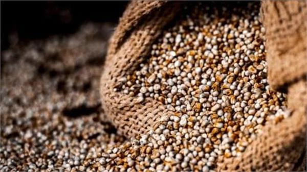 procurement of coarse grains will start in uttar pradesh from october 1st