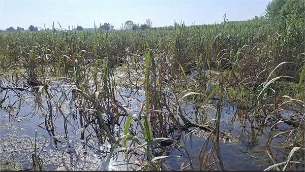 the situation in the flood affected areas has not improved