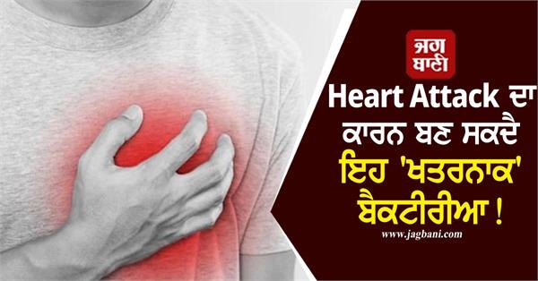 heart attack alert this dangerous bacteria can cause heart attack