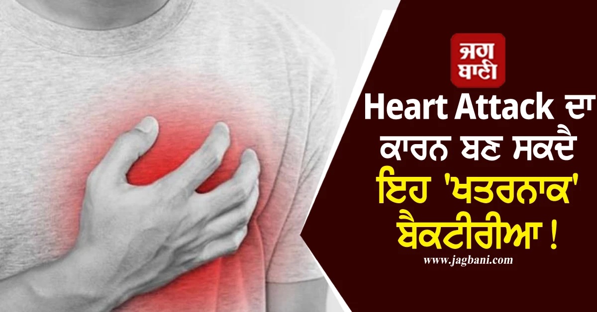 Heart Attack ਦਾ ਕਾਰਨ ਬਣ ਸਕਦੈ ਇਹ 'ਖਤਰਨਾਕ' ਬੈਕਟੀਰੀਆ! ਡਾਕਟਰ ਵੀ ਰਹਿ ਗਏ ਹੈਰਾਨ