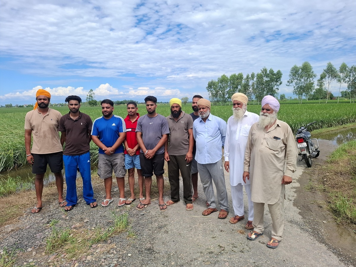 ਗੁਰਦਾਸਪੁਰ ''ਚ ਹੜ੍ਹਾਂ ਨੇ ਬਾਸਮਤੀ ਦੀ ਫ਼ਸਲ ਨੂੰ ਪਹੁੰਚਾਇਆ ਭਾਰੀ ਨੁਕਸਾਨ