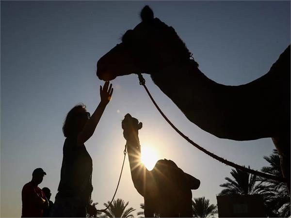 feudal landlord cripples young camel