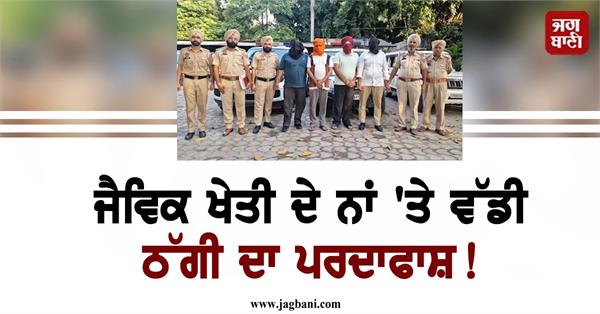big fraud in the name of organic farming in punjab 