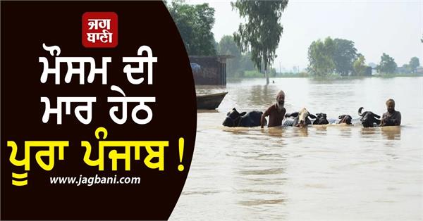 entire punjab under the grip of floods mann government releases report