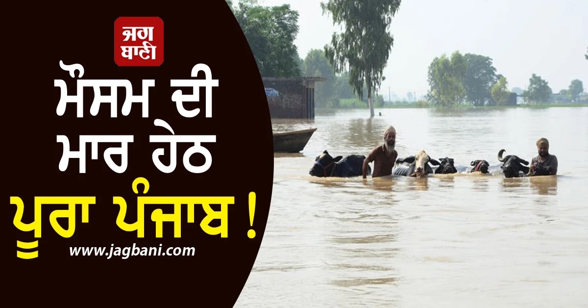 ਮੌਸਮ ਦੀ ਮਾਰ ਹੇਠ ਪੂਰਾ ਪੰਜਾਬ! ਸੂਬਾ ਸਰਕਾਰ ਨੇ ਜਾਰੀ ਕਰ'ਤੀ ਸਾਰੀ ਰਿਪੋਰਟ