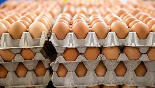 america bought eggs worth 38 million from russia