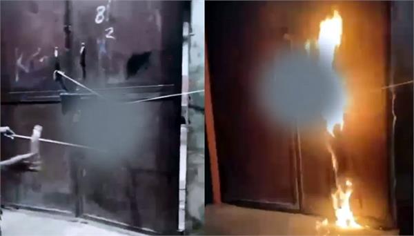 live rat hung from a gate and set ablaze with petrol