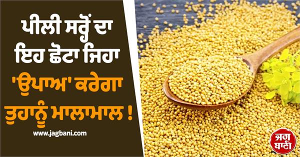 this simple remedy using yellow mustard will make you wealthy 