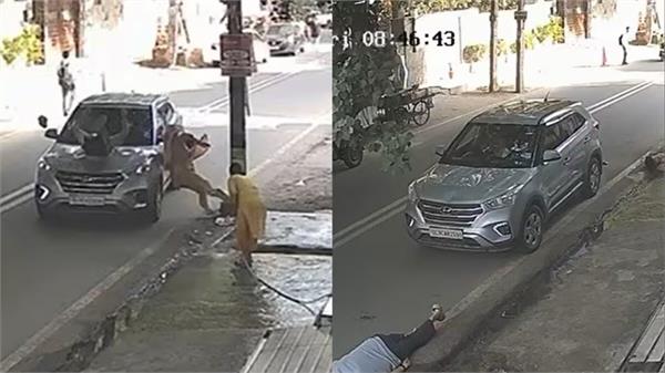 suv  woman  elderly couple  collision