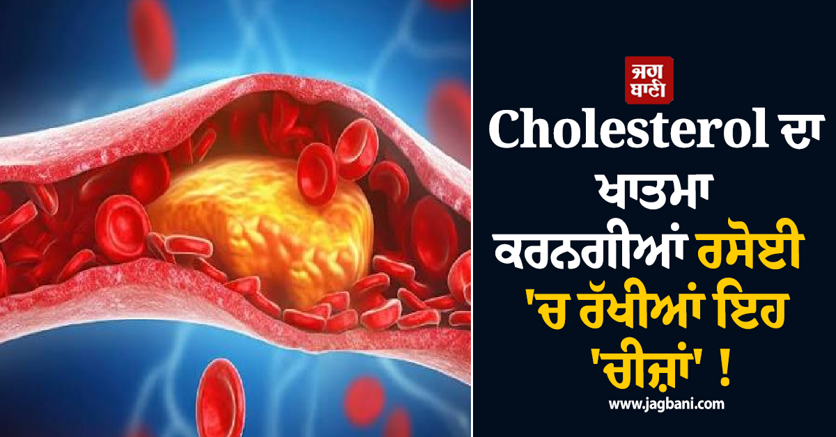Cholesterol ਦਾ ਖਾਤਮਾ ਕਰਨਗੀਆਂ ਰਸੋਈ 'ਚ ਰੱਖੀਆਂ ਇਹ 'ਚੀਜ਼ਾਂ' ! ਅੱਜ ਹੀ ਕਰੋ ਡਾਈਟ 'ਚ ਸ਼ਾਮਲ