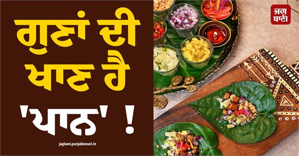 betel leaf is a mine of virtues 