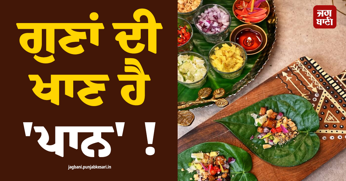 ਗੁਣਾਂ ਦੀ ਖਾਣ ਹੈ ''ਪਾਨ'' ! ਜਾਣੋ ਇਸ ਨੂੰ ਖਾਣ ਦੇ ਹੈਰਾਨੀਜਨਕ ਫਾਇਦੇ