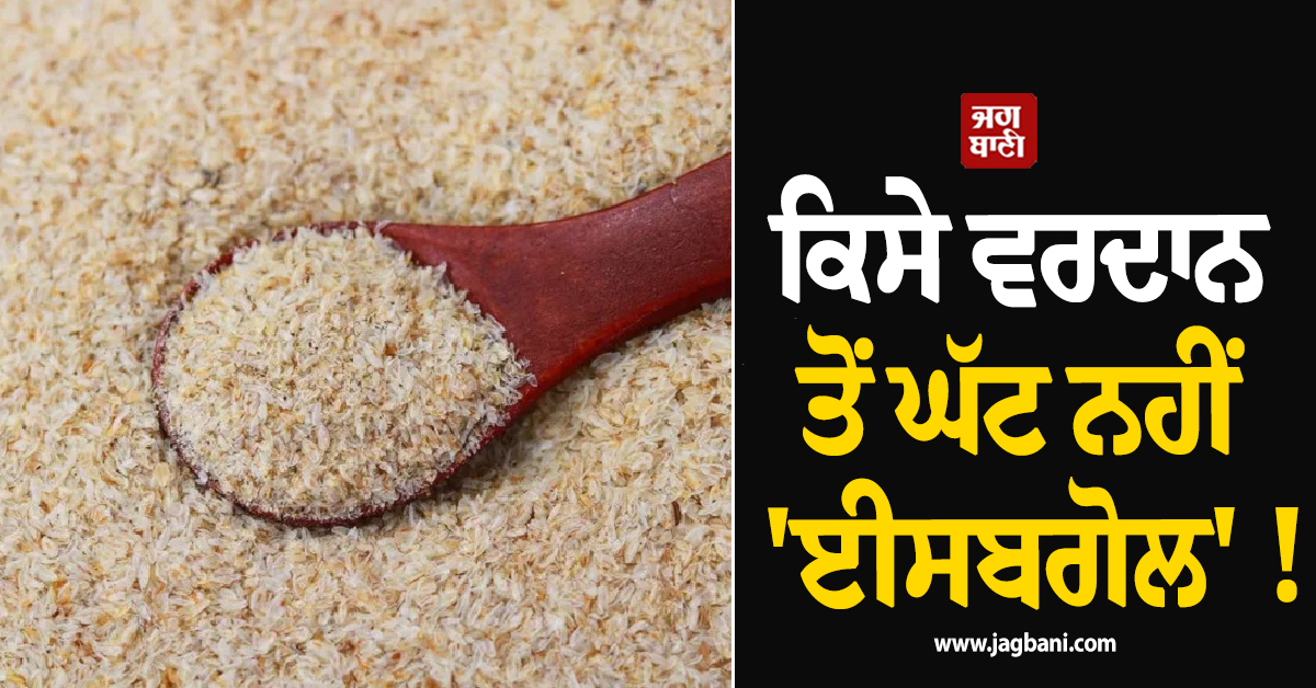 ਕਿਸੇ ਵਰਦਾਨ ਤੋਂ ਘੱਟ ਨਹੀਂ 'ਈਸਬਗੋਲ' ! ਜਾਣੋ ਖਾਣ ਦਾ ਸਹੀ ਤਰੀਕਾ ਤੇ ਫਾਇਦੇ