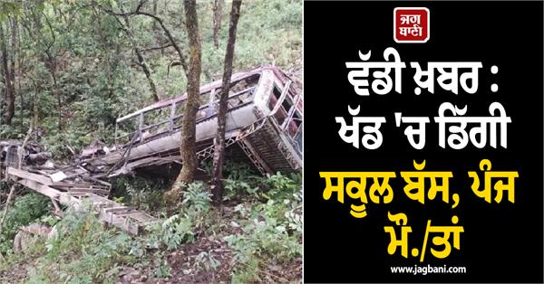 school bus plunges off road