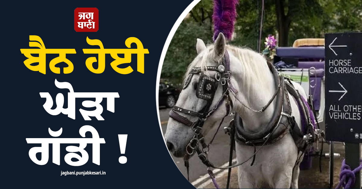 ਬੈਨ ਹੋਈ ''ਘੋੜਾ ਗੱਡੀ'' ! ਭਾਰਤੀ ਨੌਜਵਾਨ ਦੀ ਮੌਤ ਮਗਰੋਂ ਅਮਰੀਕਾ ''ਚ ਬਣਿਆ ਕਾਨੂੰਨ