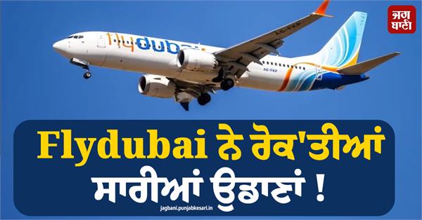 flydubai suspends flights