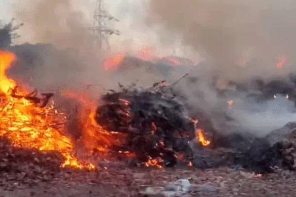 a massive fire broke out at a garbage dump in mohali