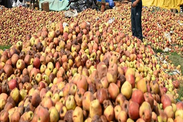 now fruits are also affected by inflation  apples will be more expensive