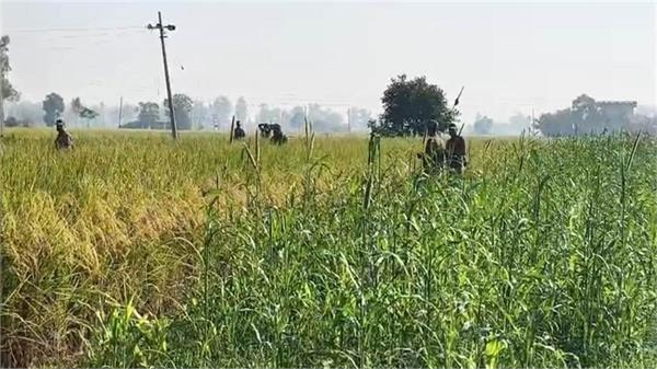 major operation by bsf and police