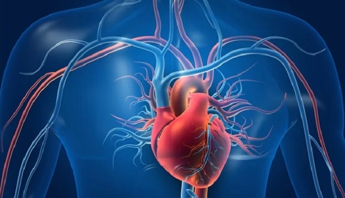 ਦੁਨੀਆ ਭਰ ''ਚ ਦਿਲ ਦੀ ਬਿਮਾਰੀ ਬਣ ਰਹੀਆਂ ਮੌਤਾਂ ਦਾ ਸਭ ਤੋਂ ਵੱਡਾ ਕਾਰਨ : ਰਿਪੋਰਟ