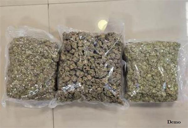 cannabis worth  5 26 crore seized at chennai airport