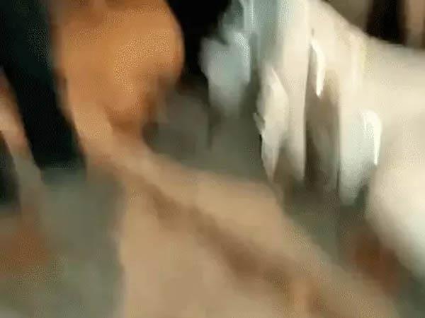 hooliganism in jalandhar  dispute over dogs