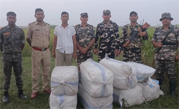 india nepal border  cannabis seized  sashastra seema bal