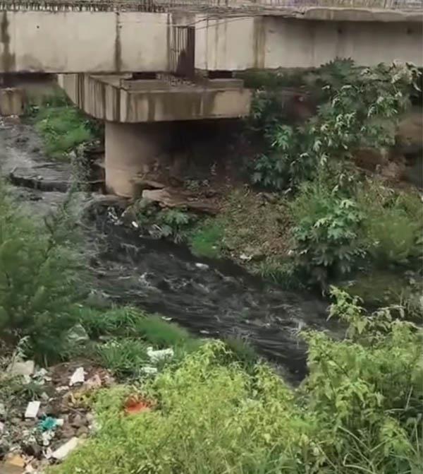 toxic wastewater from factories in baddi himachal has reached ropar