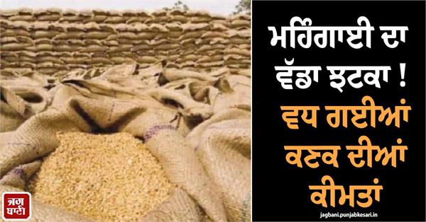 wheat price surge