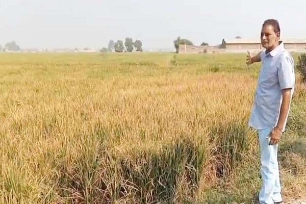 farmer case