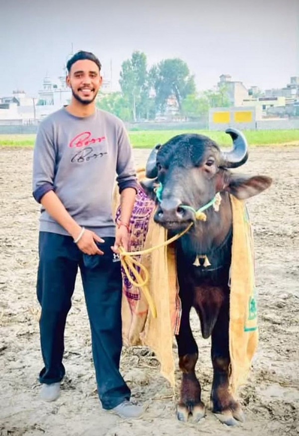 ਪੰਜਾਬ ਦਾ ਮਸ਼ਹੂਰ ਚੈਂਪੀਅਨ ''ਝੋਟਾ'' ਲਾਪਤਾ, 19 ਸਾਲਾਂ ਦੇ ਰੇਸਿੰਗ ਕਰੀਅਰ ''ਚ ਜਿੱਤੇ ਵੱਡੇ ਇਨਾਮ, ਪੂਰਾ ਪਿੰਡ ਭਾਵੁਕ