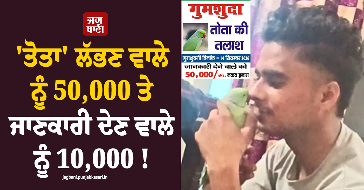 ''ਤੋਤਾ'' ਲੱਭਣ ਵਾਲੇ ਨੂੰ 50,000 ਤੇ ਜਾਣਕਾਰੀ ਦੇਣ ਵਾਲੇ ਨੂੰ 10,000 ! ਮਾਲਕ ਨੇ ਕੀਤਾ ਇਨਾਮ ਦਾ ਐਲਾਨ