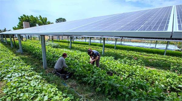 farmers and solar energy