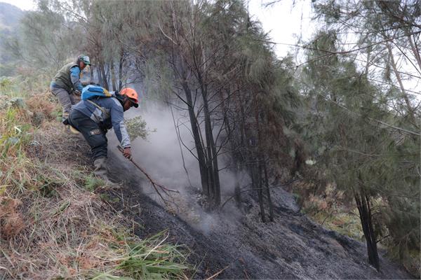 forest fire at indonesia