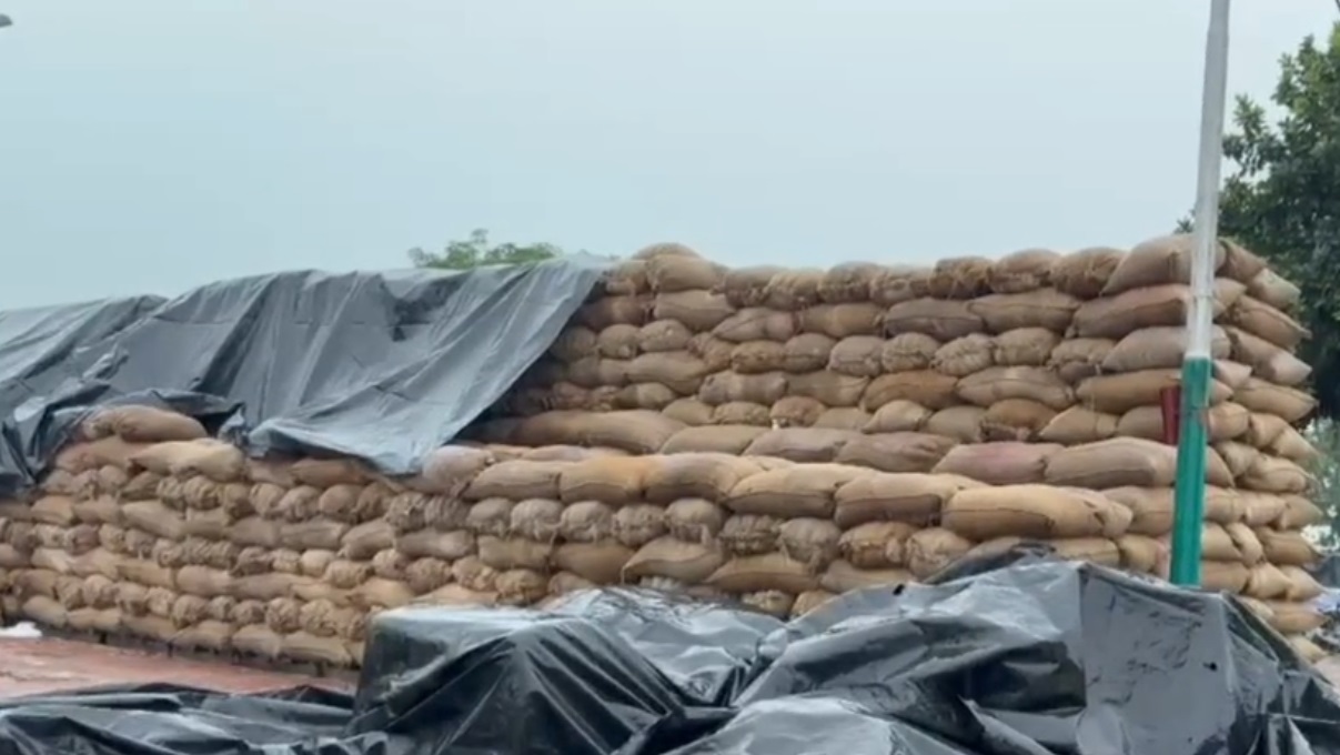 ਬੇਮੌਸਮੇ ਮੀਂਹ ਨਾਲ ਕਿਸਾਨਾਂ ਦੇ ਸੁੱਤੇ ਸਾਹ, ਖੰਨਾ ਦੀ ਦਾਣਾ ਮੰਡੀ ’ਚ ਖੁੱਲ੍ਹੇ ਅਸਮਾਨ ਹੇਠ ਭਿੱਜਿਆ ਝੋਨਾ