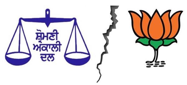 punjab bjp  alliance  assembly elections