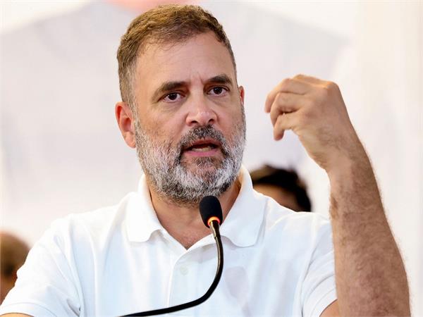 cjp rahul gandhi
