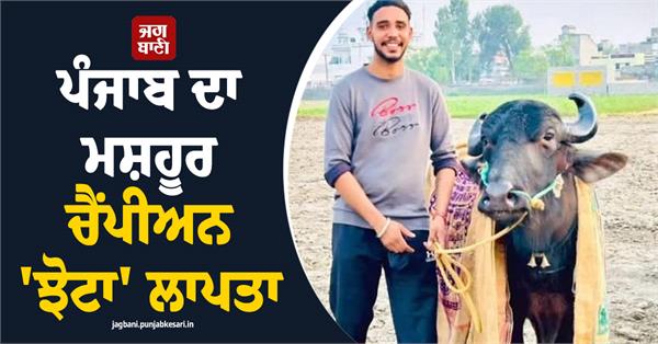 punjab s famous champion buffalo bull goes missing