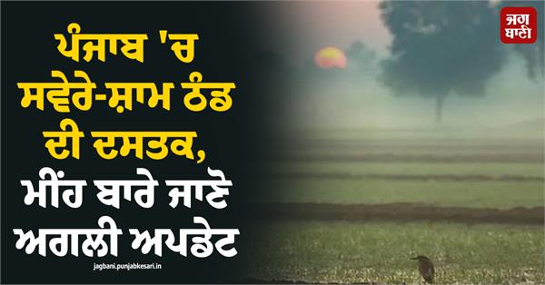 latest on rain in punjab