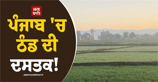 cold hits punjab weather department bulletin