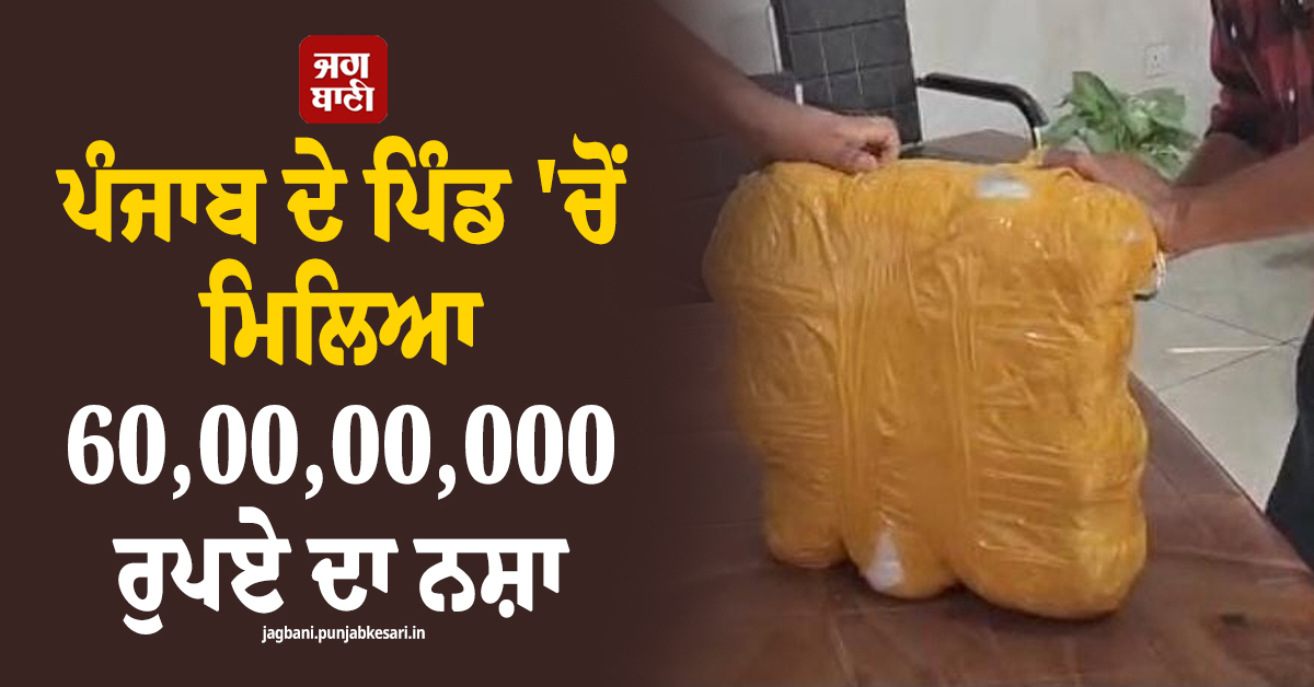 ਪੰਜਾਬ ਦੇ ਪਿੰਡ ''ਚੋਂ ਮਿਲਿਆ 60,00,00,000 ਰੁਪਏ ਦਾ ਨਸ਼ਾ