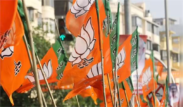 bjp yuva morcha punjab announces new state team