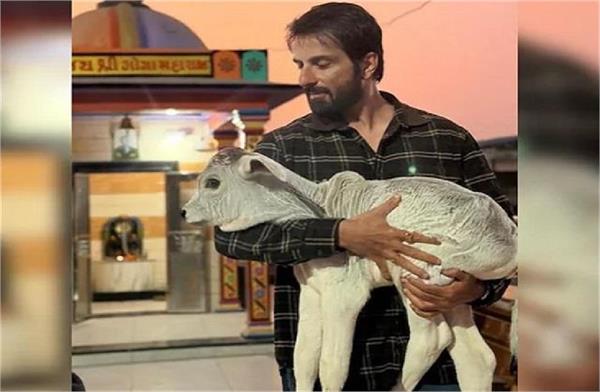 sonu sood extends a helping hand to animals