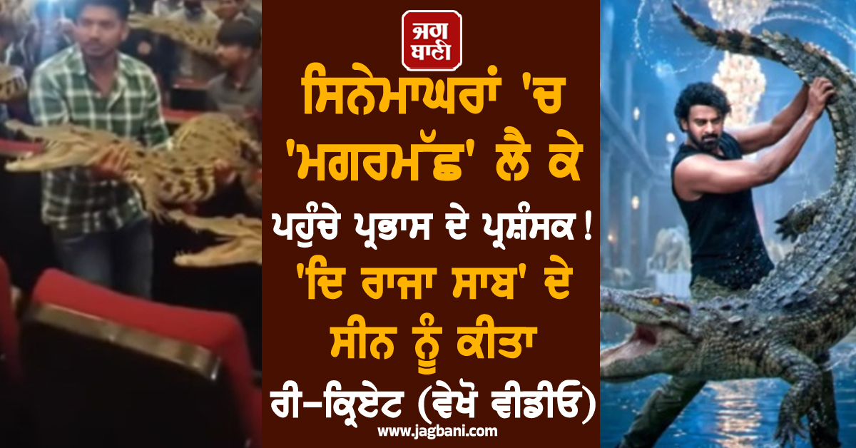 ਸਿਨੇਮਾਘਰਾਂ ''ਚ ''ਮਗਰਮੱਛ'' ਲੈ ਕੇ ਪਹੁੰਚੇ ਪ੍ਰਭਾਸ ਦੇ ਪ੍ਰਸ਼ੰਸਕ! ''ਦਿ ਰਾਜਾ ਸਾਬ'' ਦੇ ਸੀਨ ਨੂੰ ਕੀਤਾ ਰੀ-ਕ੍ਰਿਏਟ (ਵੇਖੋ ਵੀਡੀਓ)