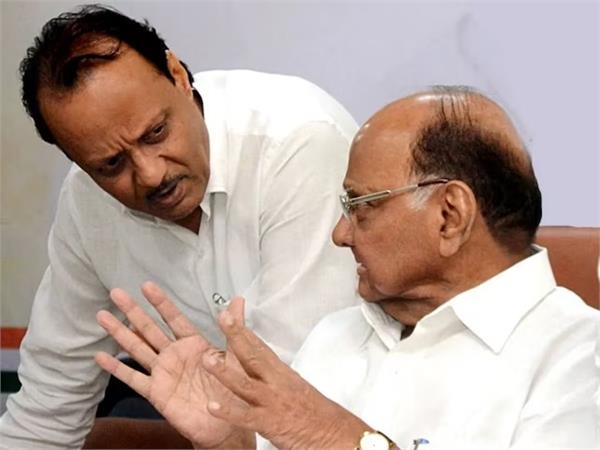 sharad pawar on maharashtra deputy cm