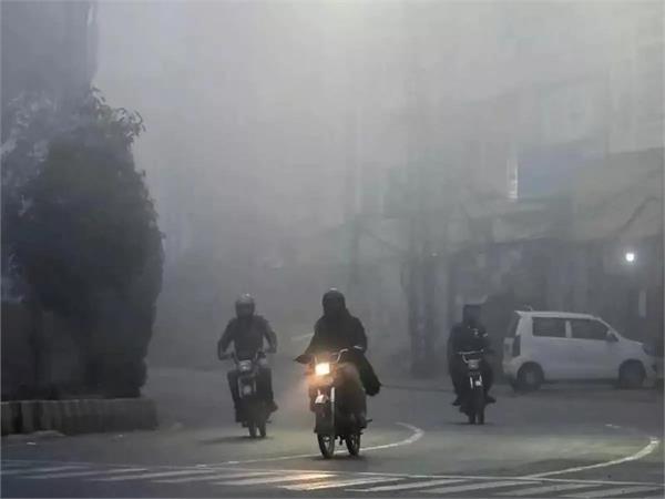 shimla like cold in ludhiana