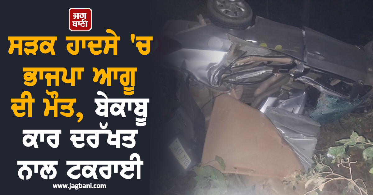 ਉੱਤਰਾਖੰਡ : ਸੜਕ ਹਾਦਸੇ ''ਚ ਭਾਜਪਾ ਆਗੂ ਦੀ ਮੌਤ, ਬੇਕਾਬੂ ਕਾਰ ਦਰੱਖਤ ਨਾਲ ਟਕਰਾਈ