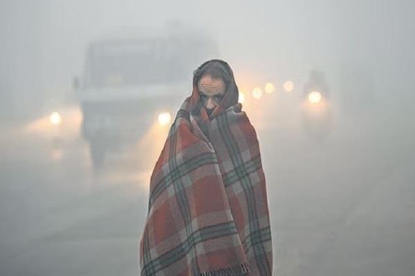 malwa in the grip of cold wave