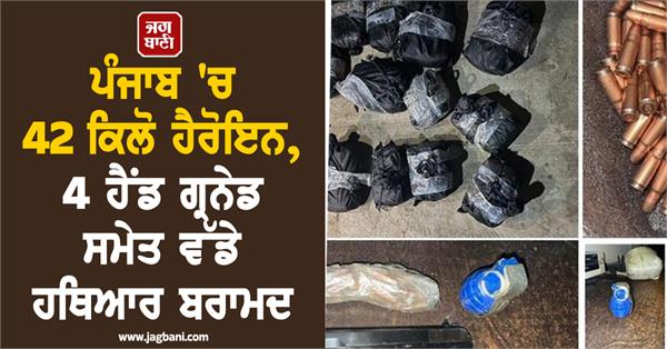 4 grenades and 46 live cartridges in punjab